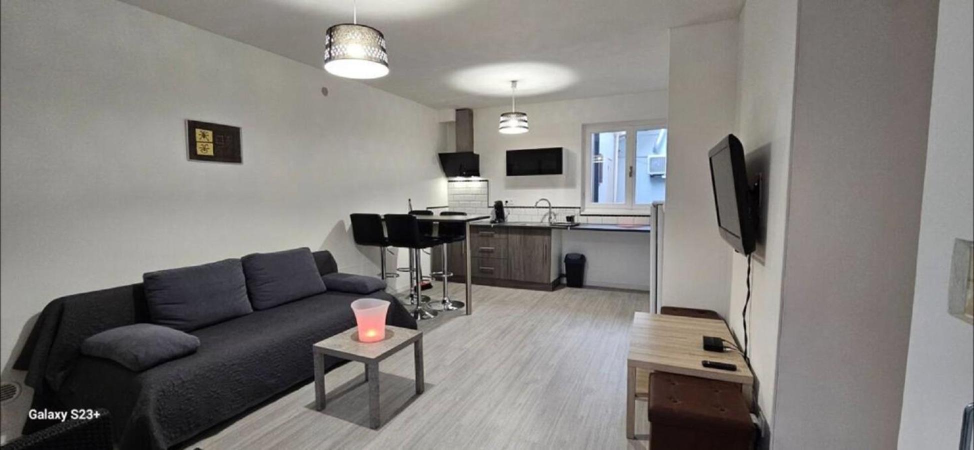 Appartement Cosy Avec Patio En Rdc ペルピニャン エクステリア 写真